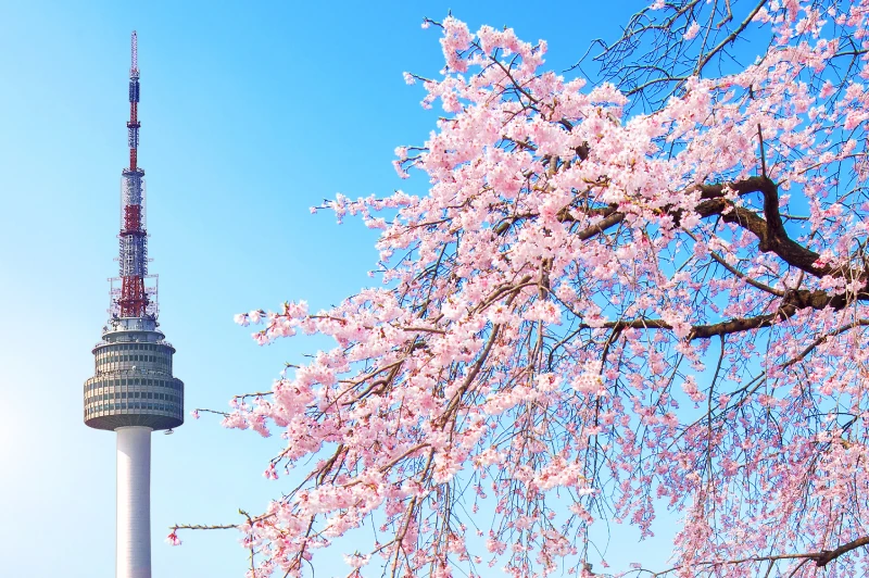 Tokio